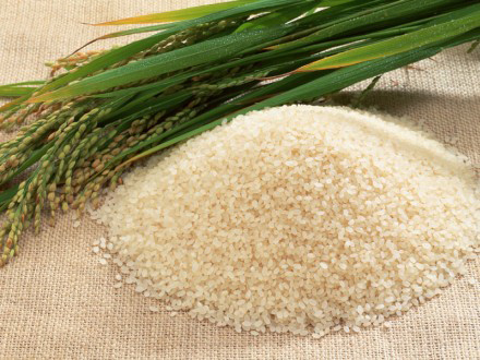 rice-grain 1