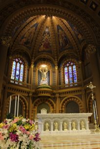IMG_8203_resize.JPG