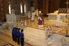 IMG_8384_resize.JPG