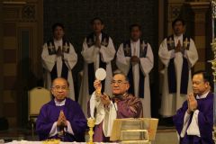 IMG_8412_resize.JPG