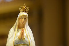 DSC_7994_resize.JPG