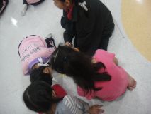 DSC01534_resize.JPG