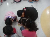 DSC01535_resize.JPG
