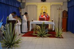 DSC_0240_resize.JPG