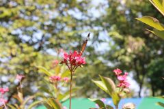 IMG_3814_resize.JPG
