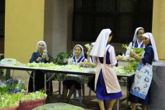 IMG_6247_resize.JPG