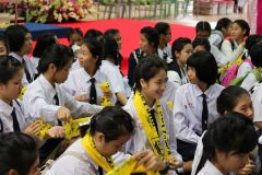IMG_6376_resize.JPG