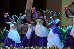 IMG_6502_resize.JPG