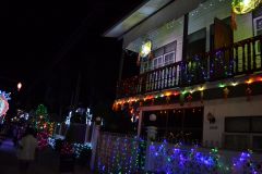 DSC_0488_resize.JPG