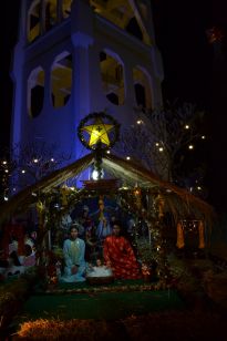 DSC_0529_resize.JPG