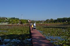 DSC_0553_resize.JPG