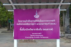 DSC_0947_resize.JPG