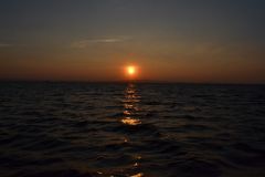 DSC_0973_resize.JPG