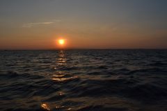 DSC_0974_resize.JPG