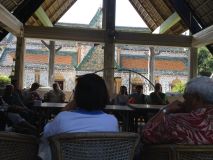 IMG_8201_resize.jpg