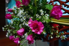 DSC01609.JPG