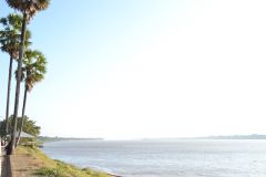 DSC_0826_resize.JPG