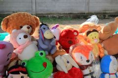 IMG_1615_resize.JPG
