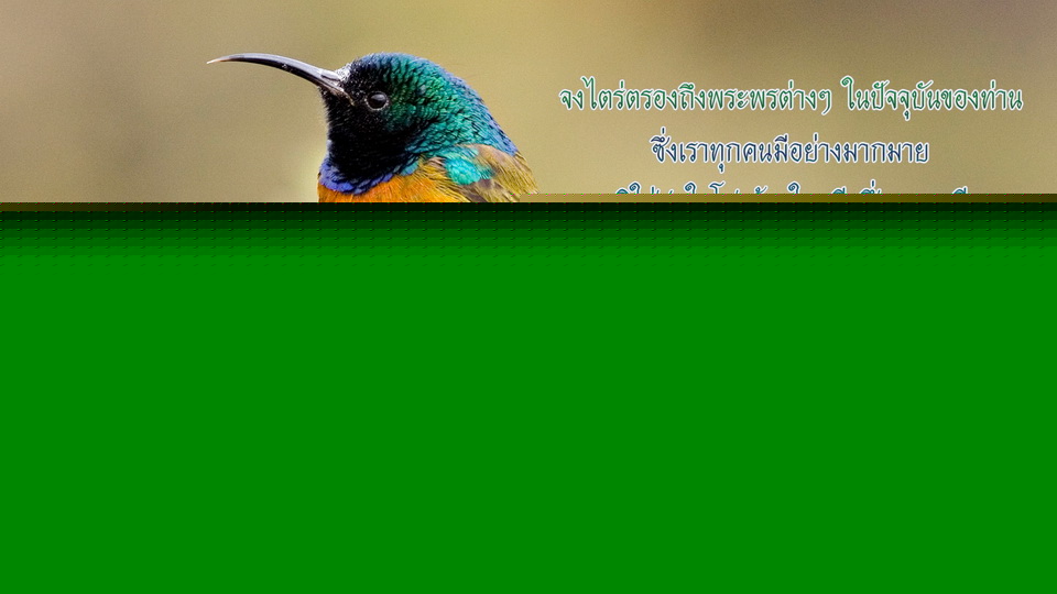 0030 resize