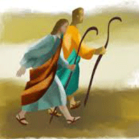 15th Sunday 1