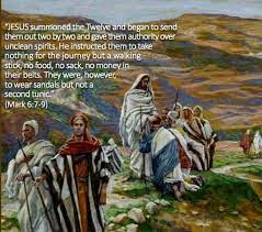 15th Sunday 2