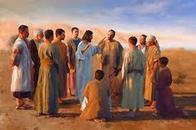 15th Sunday 7