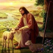 16th Sunday 6