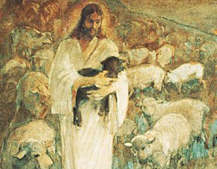 16th Sunday 7