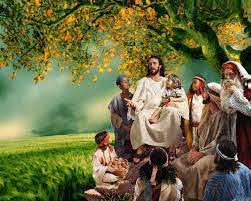 25th Sunday 5