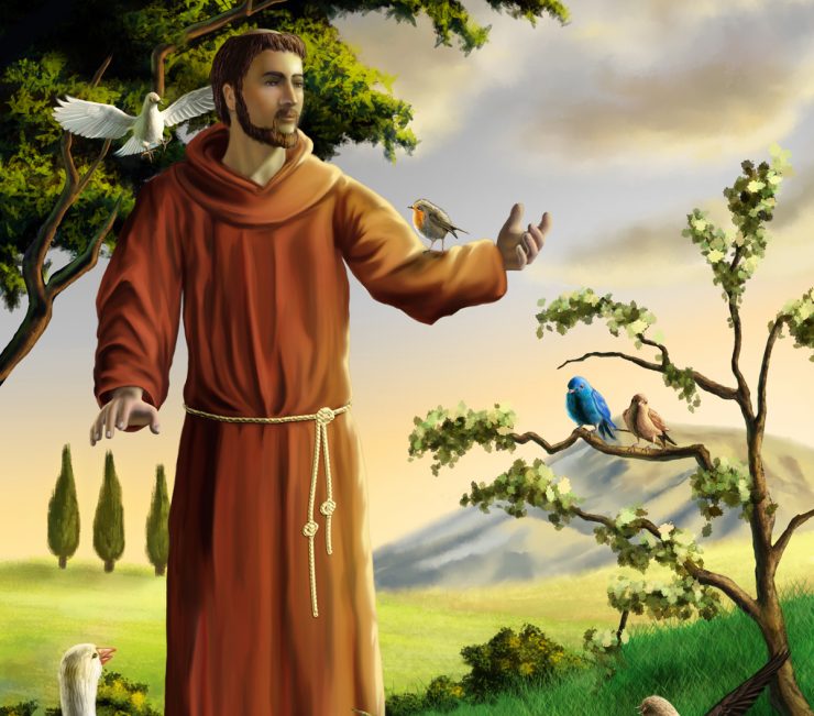 Francis 6