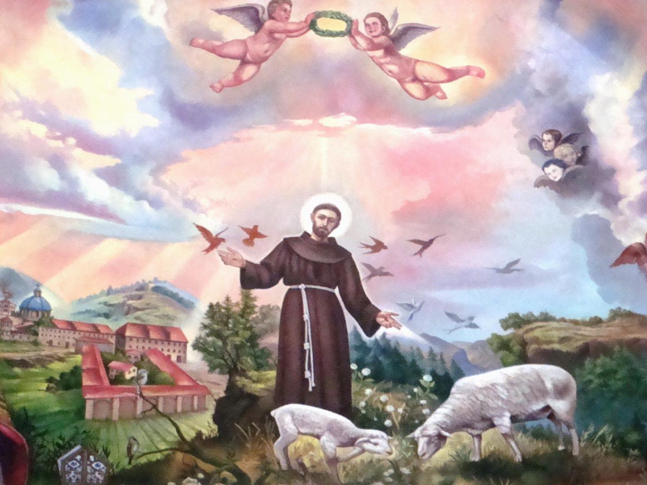 Francis 7