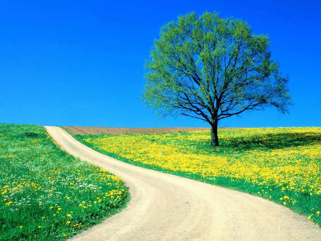 Sky wallpapers 168
