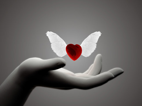 black-and-white-black-white-hand-heart-red-Favim.com-207777