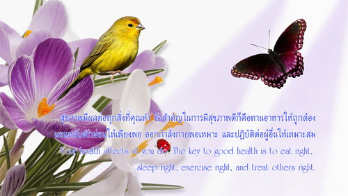p039 resize