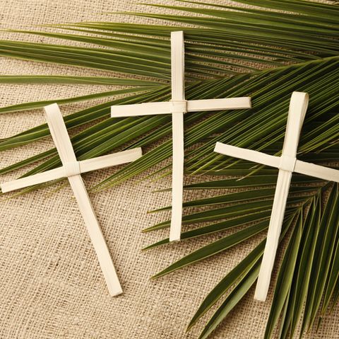 palm sunday 3