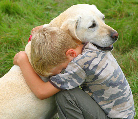 petsfriendssocialsupportfamily