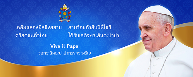 pope vinyl 350x140 021 resize