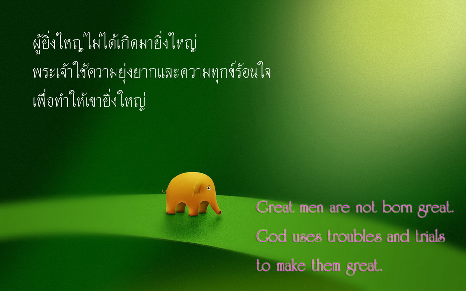 016_resize