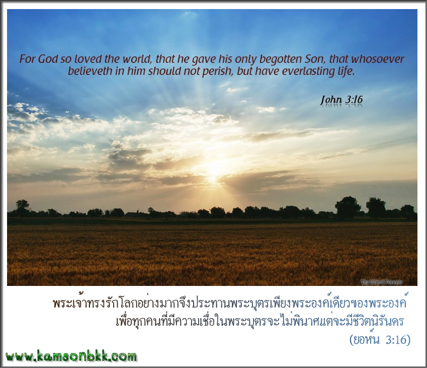 john3_16