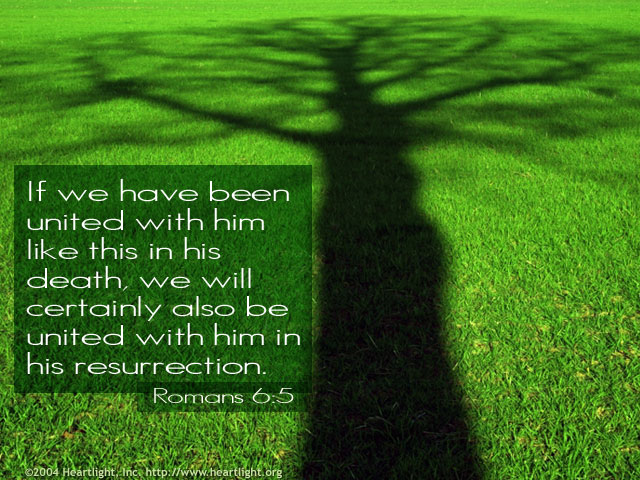 romans6_5