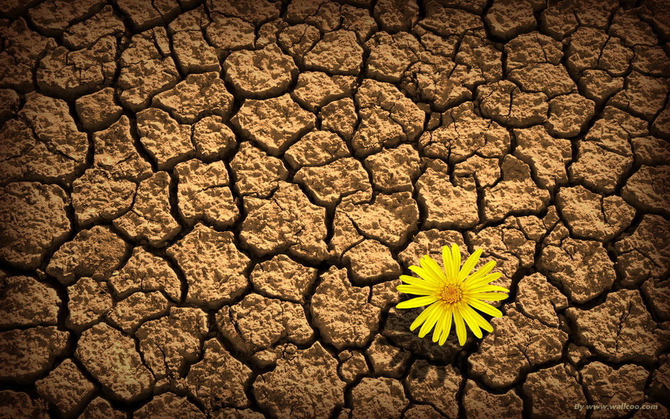 wallcoo_com_best_of_nature_11553955_resize